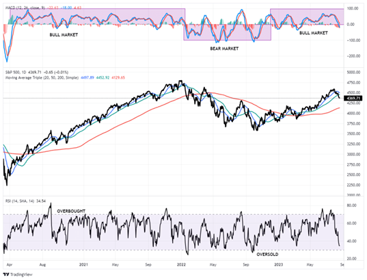 Stock Market Trading Update RSI and MACD.