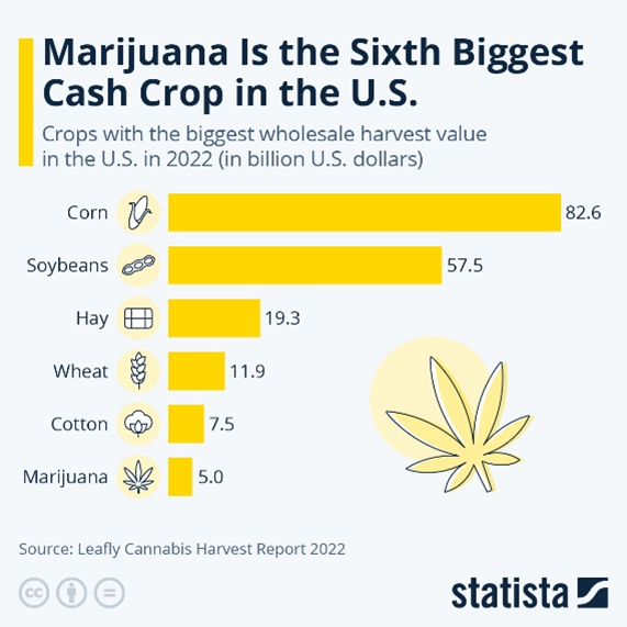 A graph of marijuana crop  Description automatically generated with medium confidence