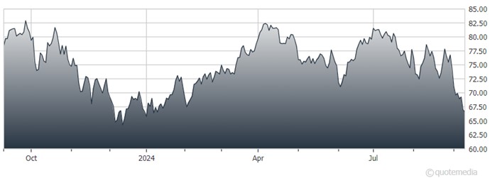 A graph showing the growth of the stock market  Description automatically generated