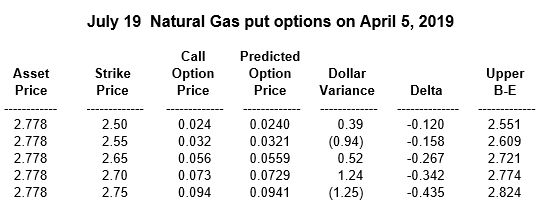 Natural Gas Put Options