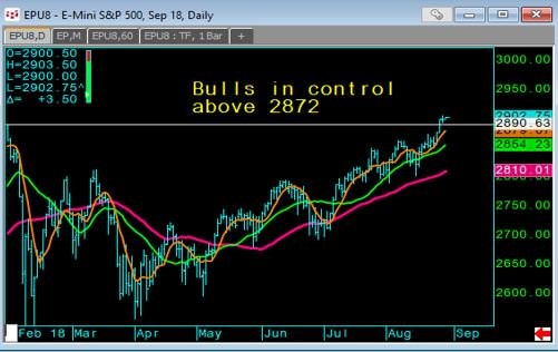 Bulls in Control