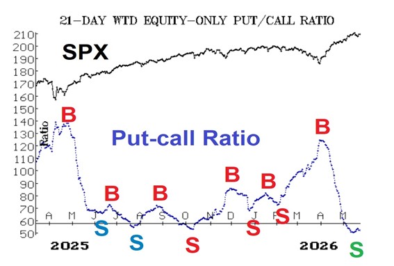 Dollar-Weighted Put-Call Ratio